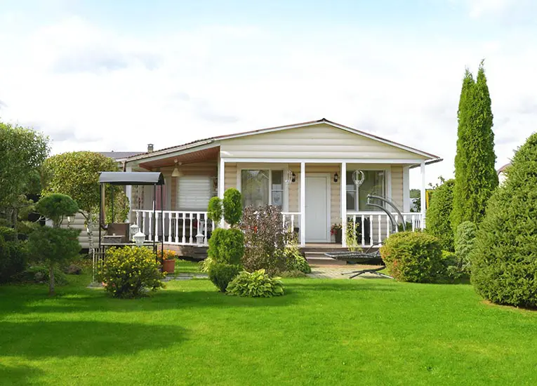 view of a lush green backyard lawn and shrubbery