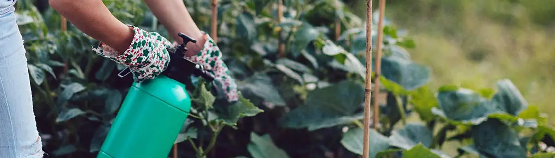 woman working in the garden while spraying pest control products