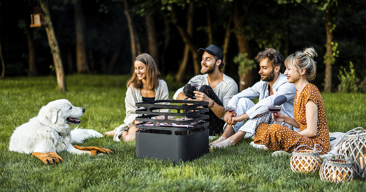 group of four young people and a dog sitting on a lush green lawn at a party
