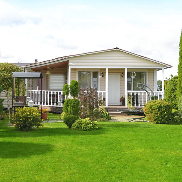 view of a lush green backyard lawn and shrubbery