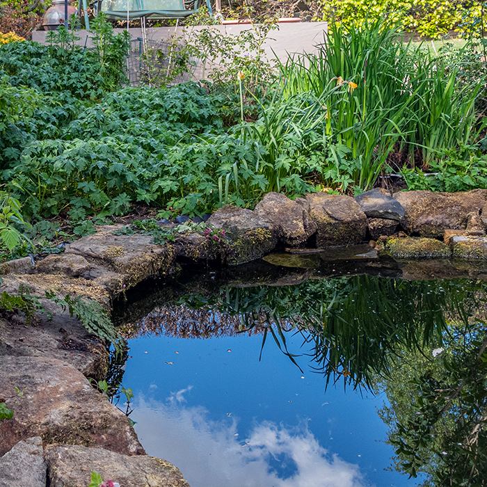 small pond surrounded by a rock barrier and plants using the Blockout Blue Pond Dye