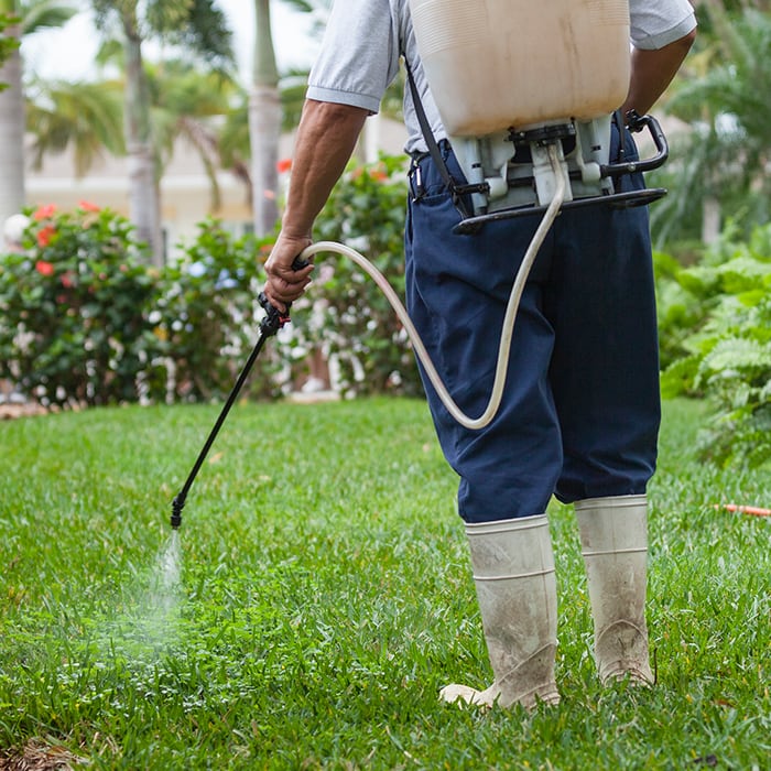 worker wearing a tank on their back attached to a spray nozzle, spraying product on the lawn