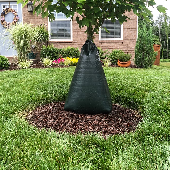 IKE'S tree watering bag around the lower half of a small tree trunk in a yard