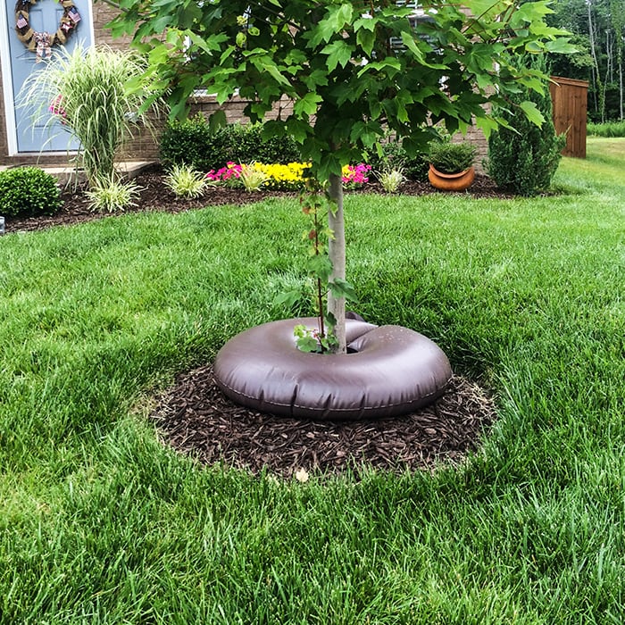 IKE'S Tree Watering Ring around the base of a small tree in the yard