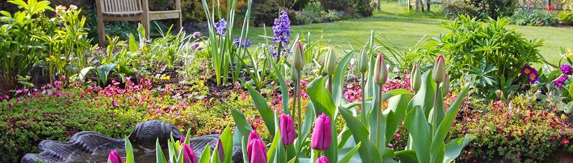 ground-level view of the garden, featuring a bird bath, bright pink tulips and other colorful plants