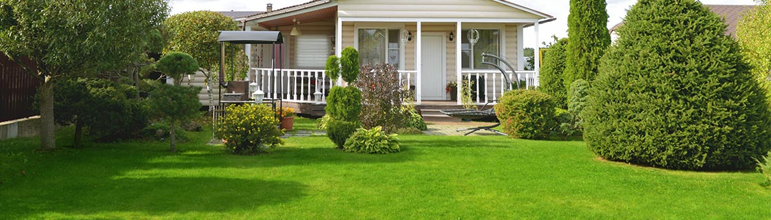 view of a lush green backyard lawn and shrubbery