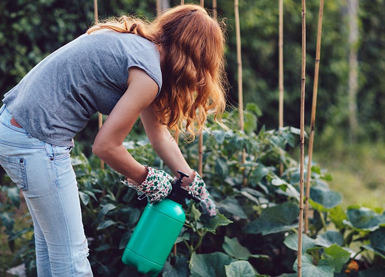 woman working in the garden while spraying pest control products