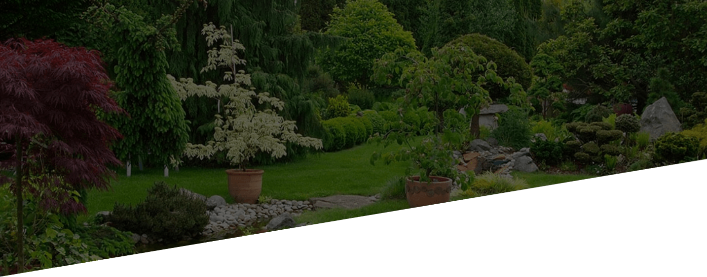 garden with large potted plants and colorful small trees and shrubs