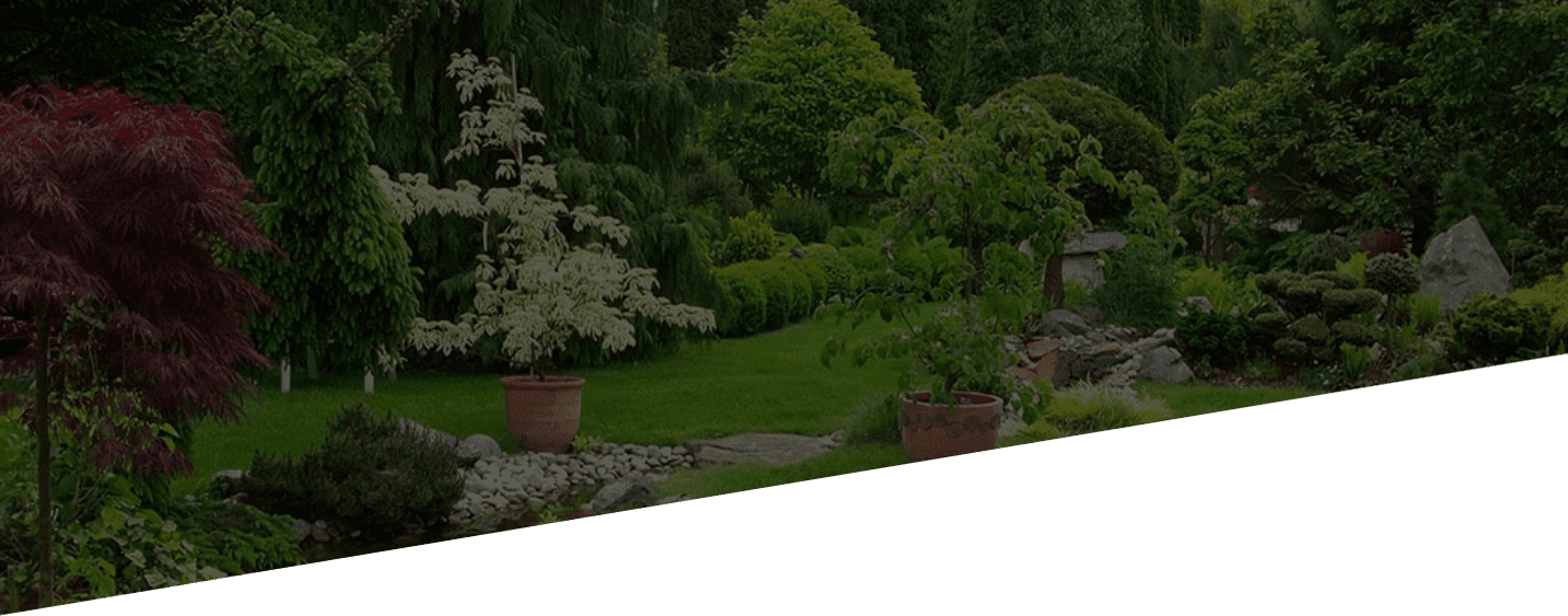 garden with large potted plants and colorful small trees and shrubs