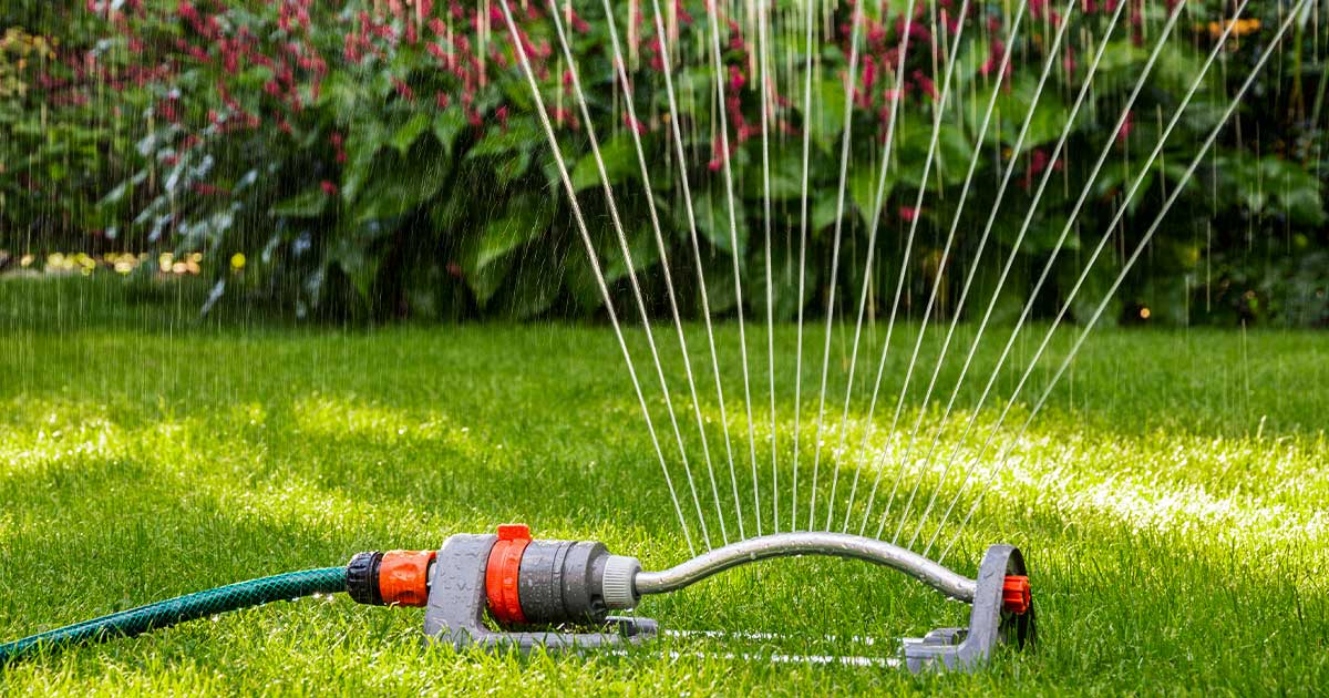 Keep Your Lawn and Garden Healthy in the Summer Heat | IKE's Products